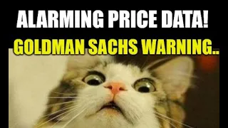 ALARMING PRICE DATA, ECONOMIC COLLAPSE MELT-UP, GOLDMAN SACHS WARNING! STOCK MARKET JUICED