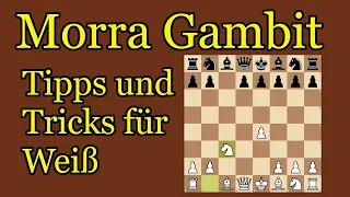 Morra Gambit gegen Sizilianisch || Einsteiger Guide für Weiß