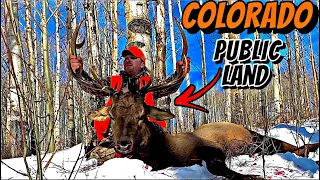 Colorado PUBLIC LAND Elk Hunting Opening Day Bull DOWN!!