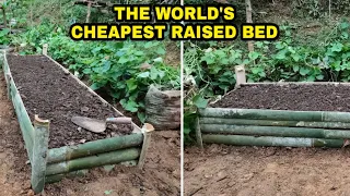 Build a Raise Bed for Gardening Cheap and Easy | Bamboo raise garden bed