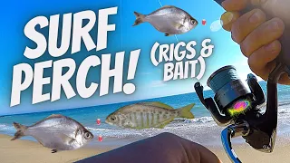 How To Catch Surf Perch (SECRET SPOT REVEAL!) Southern California