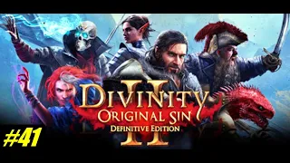 Divinity Original Sin 2 Gameplay Walkthrough/ Part 41 - The Law Of The Order/Driftwood Arena