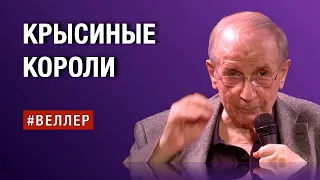 КРЫСИНЫЕ КОРОЛИ: СКОЛЬКО ГОРЯ НУЖНО ДЛЯ СЧАСТЬЯ? - #Веллер 28 02 2023