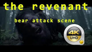 the revenant 2015 bear attack scene in 4k HDR