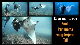 DIVER KOMODO HELP MANTA RAY FROM TANGLED BY FISHING NET | Komodo Park - LABUAN BAJO