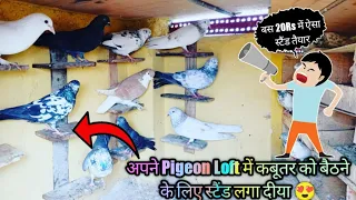 Pigeon🕊️ Loft Me Kabootar ko bethne ke liye Parchhe/  Stand lgaa diyaa 😍