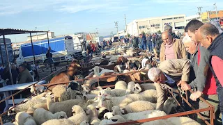 TÜRKİYE'NİN NABZI BU PAZARDA ATIYOR.