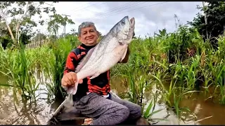 Um dos PEIXES mais SABOROSO do nosso Amazonas,PESCARIA NO RIO SOLIMÕES (Part. final)