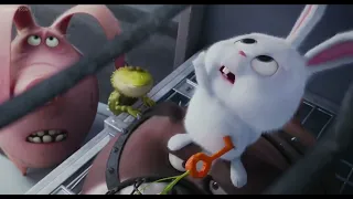 The Secret Life of Pets in 1 Minute
