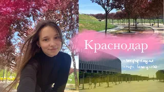 vlog 💗 путешествие в Краснодар | Парк Галицкого