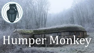 SomethingAwful Forum - Humper Monkey 1/2