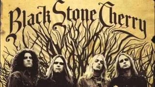 Black Stone Cherry - When The Weight Comes Down (Audio)