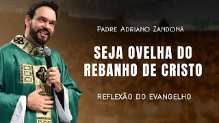 Ouça a voz do pastor! | Jo 10,27-30 | Padre Adriano Zandoná 08/05/22