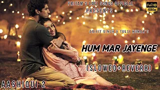 Hum Mar Jayenge (Slowed+Reverb) | Aashiqui 2 | Arijit Singh, Tulsi K | Jeet Gangulli | Lofi Songs