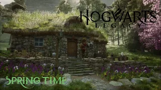 Hogwarts Legacy - Spring in Lower Hogsfield - soft background music + ambient sounds
