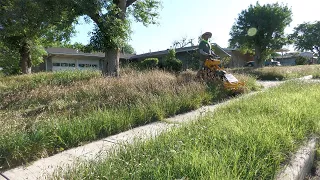 This PROPERTY gets a CITY VIOLATION EVERY YEAR, EVERYONE on the NEIGHBORHOOD was THANKFUL