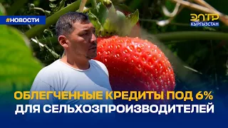 ОБЛЕГЧЕННЫЕ КРЕДИТЫ ПОД 6% ДЛЯ СЕЛЬХОЗПРОИЗВОДИТЕЛЕЙ