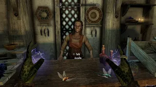 2019 Skyrim Merchant Glitch