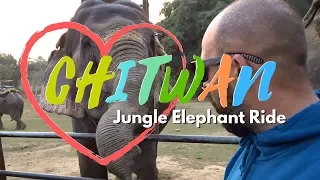 JUNGLE ELEPHANTS RIDE CHITWAN PARK | JUNGLE SAFARI CHITWAN | ELEPHANT CHITWAN | SAURAHA | NEPAL |