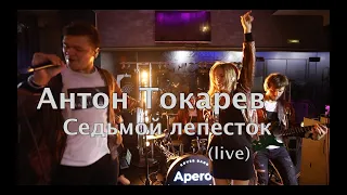 Aperol Шпиц - Седьмой лепесток LIVE. Антон Токарев. Кавер группа Кемерово, кавер группа Новосибирск