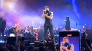 SUEÑO CUMPLIDO: Ricky Martin se bajó del escenario por una fan de 88 años