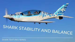 Shark airplane - 6 stability and balance features