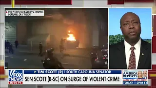 Senator Scott talks Police Reform w/ Harris Faulkner