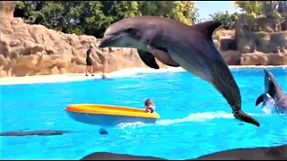 Настя на шоу дельфинов/ дельфинариум. Tenerife Dolphinarium.