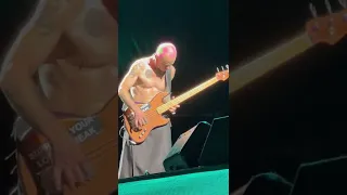 Red Hot Chili Peppers Flea Bass Solo (Citizens Bank Park 9-3-22)