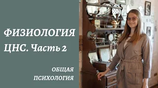 Физиология ЦНС. Часть 2. Кора головного мозга. Общая информация.