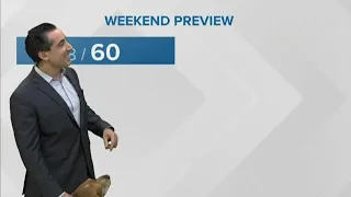 Bentley the Dog Crashes Meteorologist Tim Pandajis' Weather Forecast