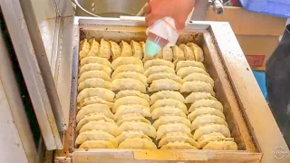 japanese street food - japanese dumplings GYOZA 餃子