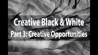 Creative Black & White | Part 3: Creative Opportunities | Harold Davis