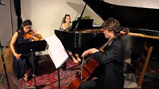 Brahms Piano Trio no. 3 in C minor, op. 101 - 1st mvt. excerpt