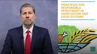 The CFS Principles for Responsible Investment in Agriculture and Food Systems (CFS-RAI)
