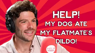 Help My Dog Ate My Housemate's Dildo