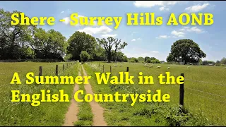 Shere - Surrey Hills AONB Summer Walk - English Countryside 4K