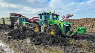 SÁRDAGASZTÁS 💪 | John Deere 8245R + Rába + 6930P | Stuck in MUD | Rübentransport