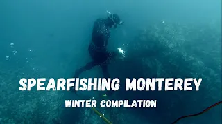 Spearfishing Monterey and Carmel!!! (Winter 2024 Compilation)