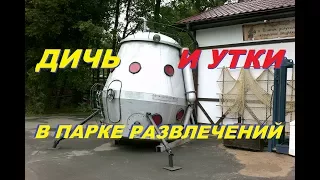 Неведомая Дичь в парке развлечений. Утки атакуют!