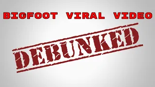 COLORADO BIGFOOT VIRAL VIDEO DEBUNKED!! #HOAX #bigfoot2023