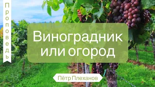 Виноградник или огород - Пётр Плеханов (3 Царств 21)