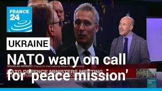 NATO allies wary on call for Ukraine 'peace mission' • FRANCE 24 English