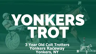 2019 Yonkers Trot - Gimpanzee