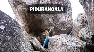 Pidurangala Rock: how the descent/climb looks like | No sunrise for us | Sri Lanka Travel