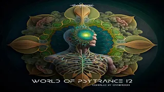 VA-  World Of Psytrance 12 2023 (Full Album)