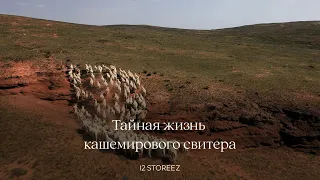 Тайная жизнь кашемирового свитера | 12 STOREEZ