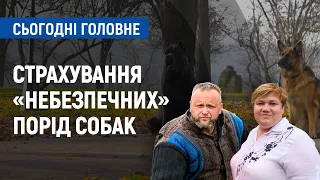 Страхування «небезпечних» порід собак | Сьогодні. Головне