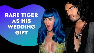 Russell Brand Dumped Katy Perry Via Text | Rumour Juice