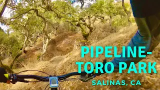 Mountain Biking Pipeline-Toro Park | Salinas, California